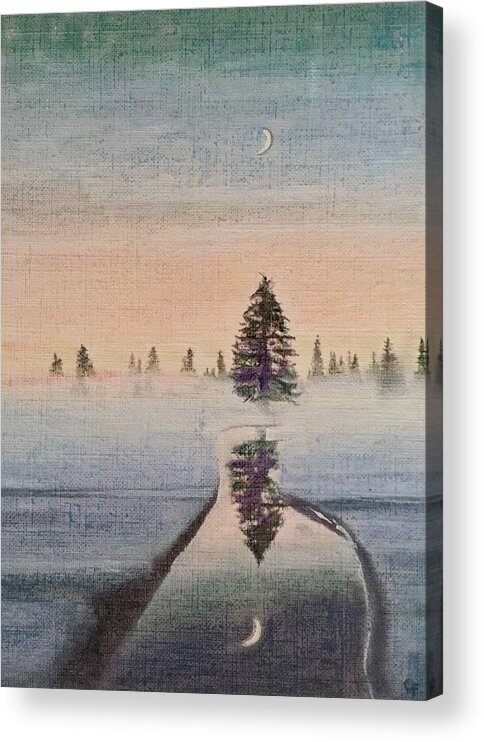 Forest Acrylic Print featuring the photograph Reflection By Moonlight by Cara Frafjord