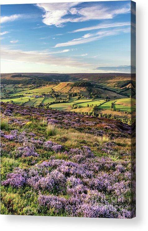 Rosedale Chimney Bank Acrylic Print featuring the photograph Rosedale From Chimney Bank by Richard Burdon