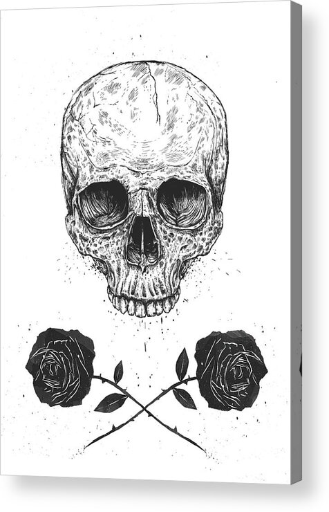 Skull Acrylic Print featuring the drawing Skull N' Roses by Balazs Solti