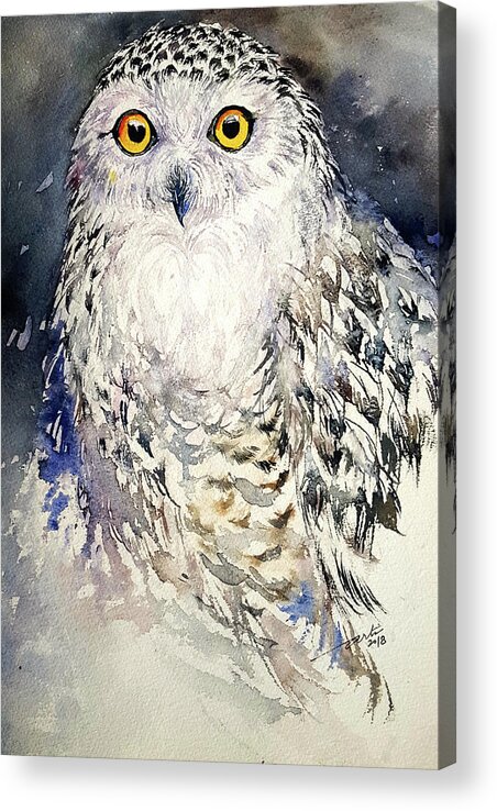 Owl Acrylic Print featuring the painting Snowy Owl by Arti Chauhan
