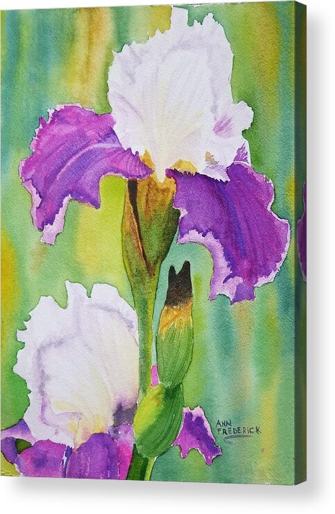 Iris Acrylic Print featuring the painting Spring Iris by Ann Frederick
