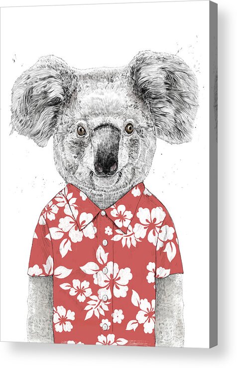 Koala Acrylic Print featuring the drawing Summer koala by Balazs Solti