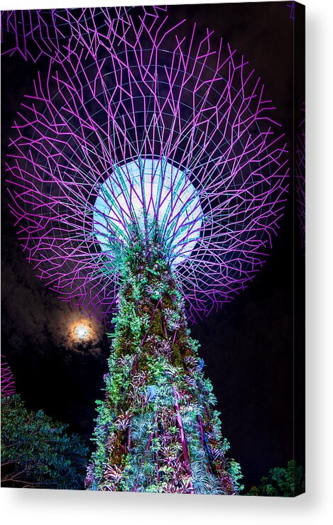 Illumination
Moon
Singapore Acrylic Print featuring the photograph Supertree Grove by Yasutoshi Honjo