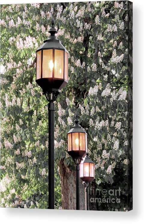 Lanterns Acrylic Print featuring the photograph Three lanterns aglow by Janice Drew