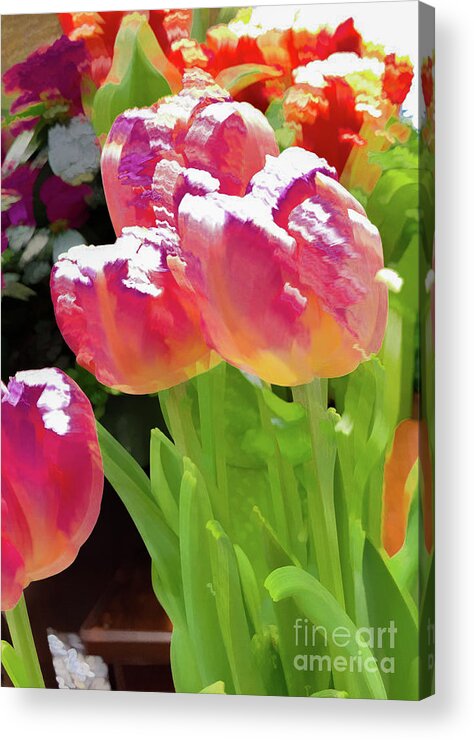 Abstract Acrylic Print featuring the photograph Tulip flower pastel by Phillip Rubino