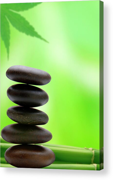 Tropical Tree Acrylic Print featuring the photograph Wellbeing by Pixhook