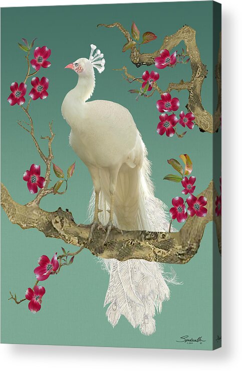 Bird Acrylic Print featuring the digital art White Peacock by M Spadecaller