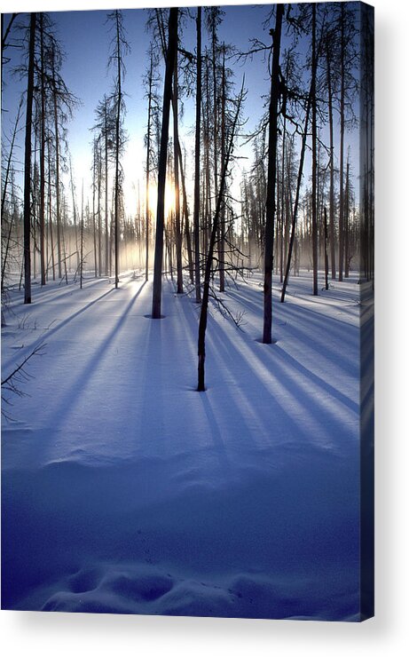 Shadow Acrylic Print featuring the photograph Winter Snow Sunrise Yellowstone & Burnt by Darrell Gulin