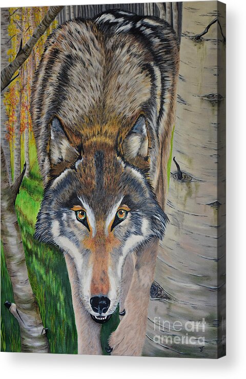 Wolf Acrylic Print featuring the painting Wolf - Spirit Animal by Yvonne Johnstone