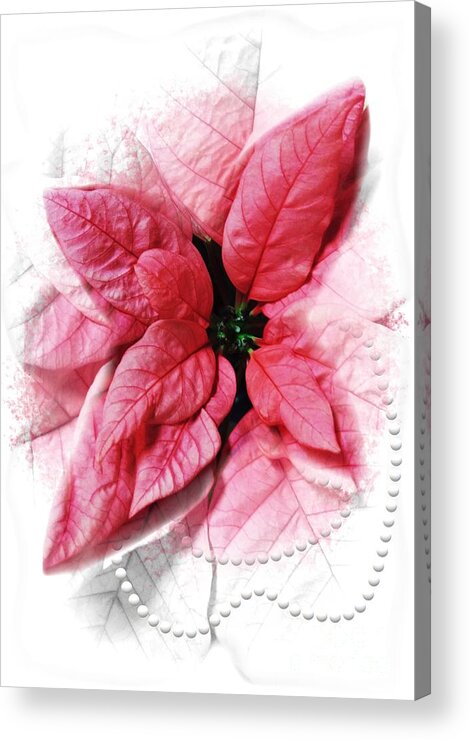 2020 Acrylic Print featuring the digital art 2020 Pink Poinsettia Color of the Year Gift Idea by Delynn Addams