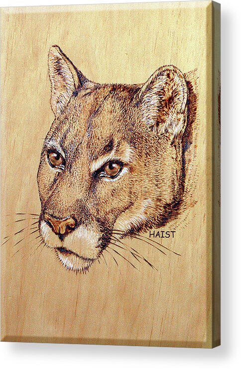 Cougar Acrylic Print featuring the pyrography Cougar #3 by Ron Haist