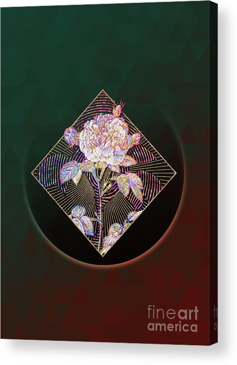 Mosaic Acrylic Print featuring the mixed media Abstract Geometric Mosaic Rosa Alba Botanical Illustration 421 by Holy Rock Design