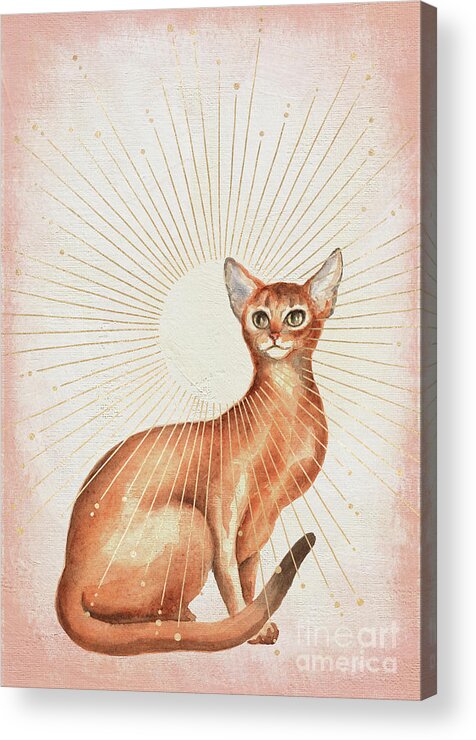 Abyssinian Cat Acrylic Print featuring the painting Abyssinian Cat by Garden Of Delights