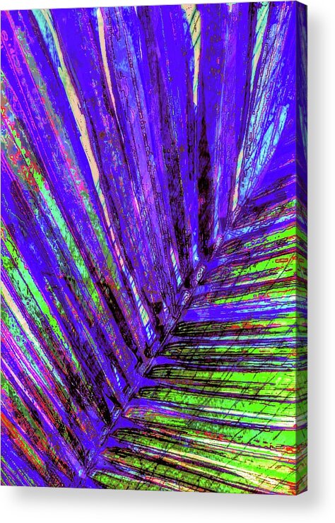 Palm Artwork Acrylic Print featuring the digital art Areca Peacock Plume by Pamela Smale Williams