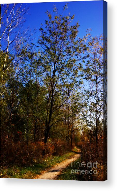 Landscape Acrylic Print featuring the photograph Autumn Tree Along the Trail - Painterly by Frank J Casella