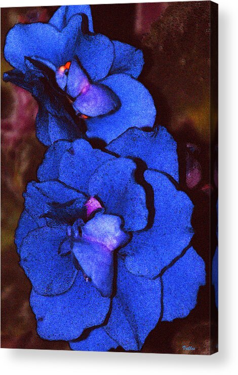 Blooms Acrylic Print featuring the digital art Blue Violets by Vallee Johnson