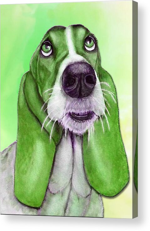 Basset Hound Acrylic Print featuring the mixed media Basset Hound Goes Green by Kelly Mills