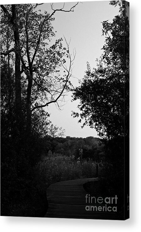 Black And White Acrylic Print featuring the photograph Beauty Around The Bend - Black and White by Frank J Casella