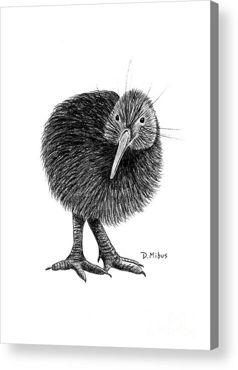 New Zealand Bird Acrylic Print featuring the drawing Black and White Kiwi Bird of New Zealand by Donna Mibus