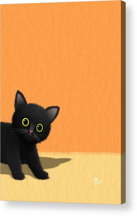 Kitten Acrylic Print featuring the digital art Black kitten by John Wills