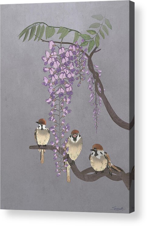 Bird Acrylic Print featuring the digital art Blooming Wisteria and Sparrows by M Spadecaller