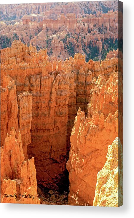 Usa Acrylic Print featuring the photograph Bryce Canyon by Randy Bradley