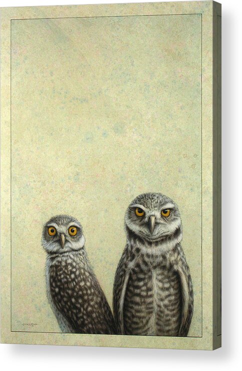 Owls Acrylic Print featuring the painting Burrowing Owls by James W Johnson