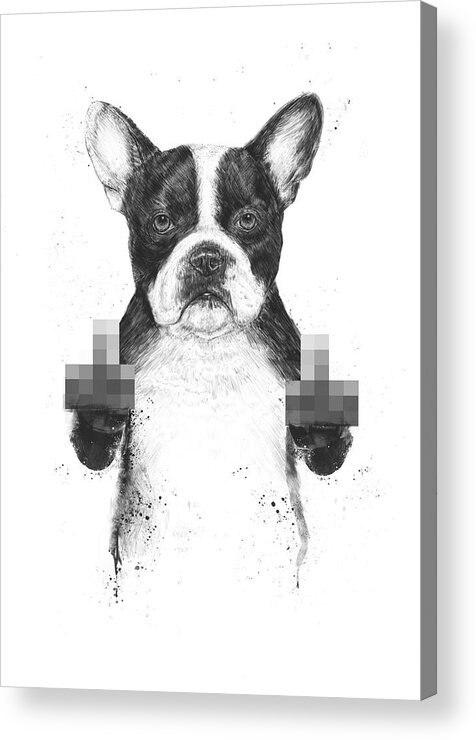 Dog Acrylic Print featuring the mixed media Censored dog by Balazs Solti