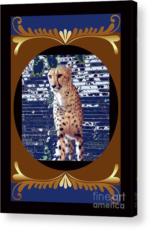  Acrylic Print featuring the photograph Cheetah by Shirley Moravec