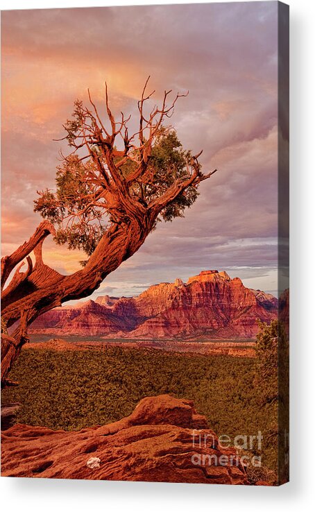 Dave Welling Acrylic Print featuring the photograph Clearing Storm And West Temple South Of Zion National Park by Dave Welling