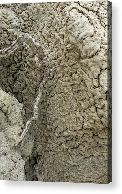 Abstract Acrylic Print featuring the photograph Cracked Earth Texture by Phil And Karen Rispin