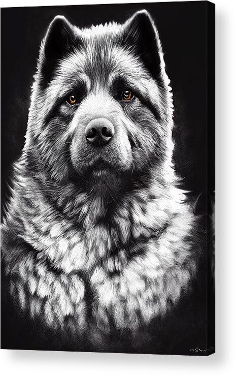 Eurasier Acrylic Print featuring the digital art Eurasier by Geir Rosset