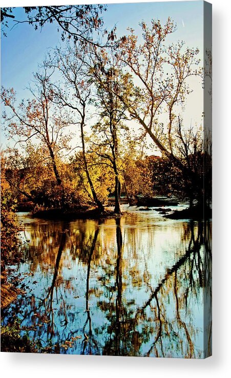 River; Potomac Acrylic Print featuring the photograph Fall reflections, Potomac River by Bill Jonscher
