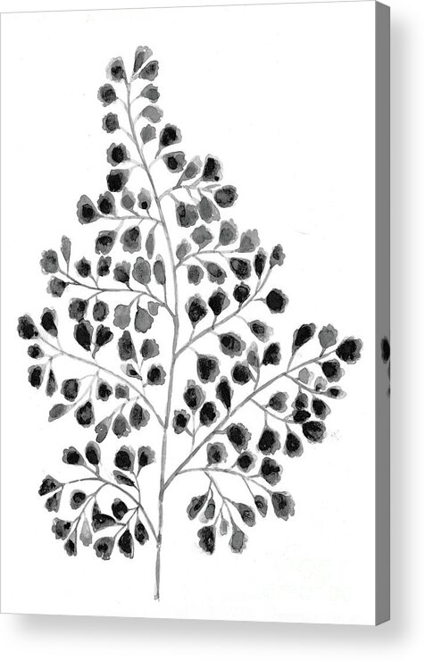 Print Set Wall Art Abstract Botanical Home Decor Modern Fine Line Drawing Illustration Wall Art Prints with white leaves and ferns