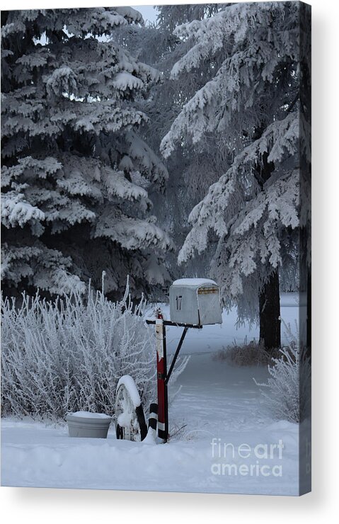 Mailbox Acrylic Print featuring the photograph Frosty mailbox by Lisa Mutch