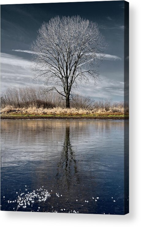 Frost Acrylic Print featuring the photograph Frozen pond and frosted tree with reflection at Harveys Marsh in Wisconsin by Peter Herman