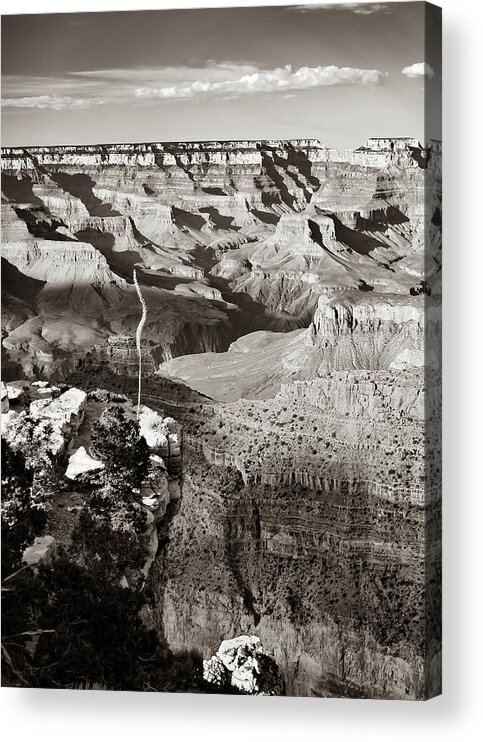 Grand Canyon Acrylic Print featuring the photograph Grand Canyon Sunset Shadows - Arizona Sepia by Gregory Ballos