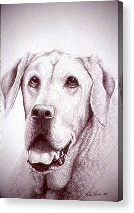 Animal Acrylic Print featuring the drawing Grant by Rick Hansen