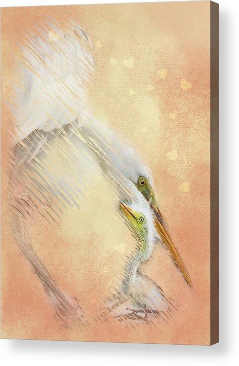 Snowy Egret Acrylic Print featuring the photograph Great White Egret Tenderness by Patti Deters
