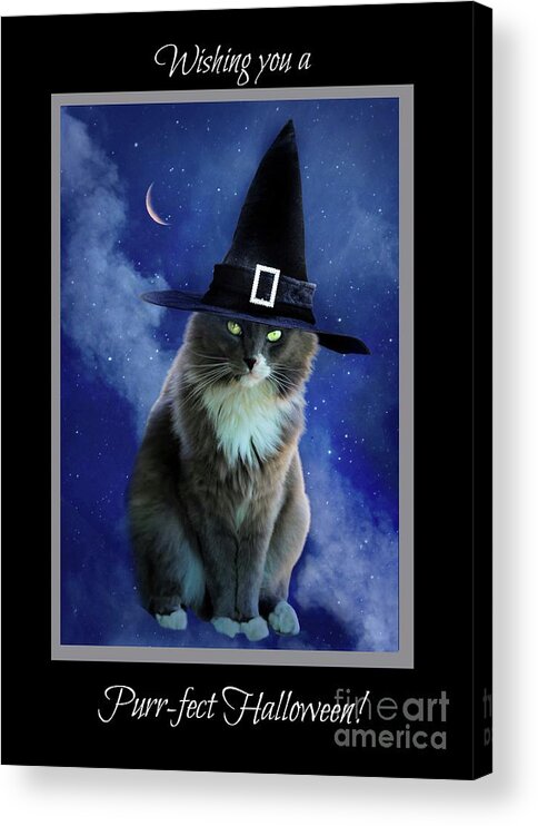 Halloween Acrylic Print featuring the photograph Halloween Kitty with Moon Wishing You A Purrfect Halloween by Stephanie Laird