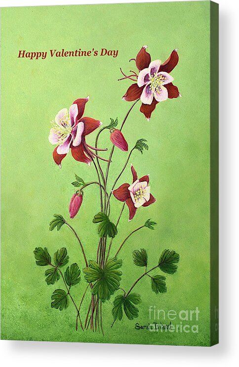Happy Acrylic Print featuring the painting Happy Valentine's Day - Eastern Red Columbine by Sarah Irland