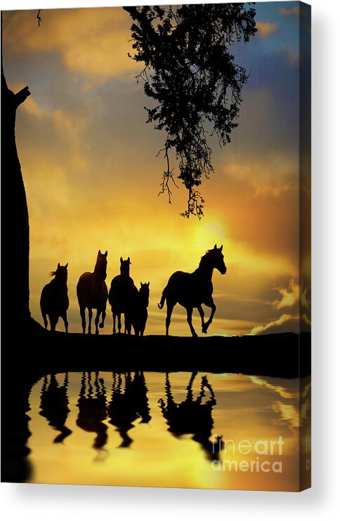 Horse Acrylic Print featuring the photograph Herd of Horses in Southwestern Colored Sunset Oak Tree Reflected in Pond of Water by Stephanie Laird
