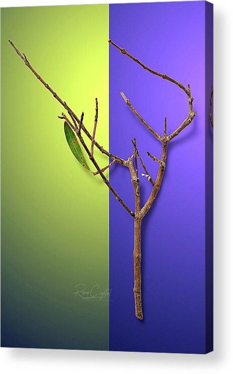 Branches Acrylic Print featuring the photograph I'm Stickin' With You, Babe by Rene Crystal