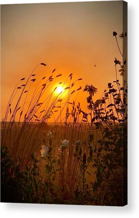 Iphonography Acrylic Print featuring the photograph IPhonography Sunset 2 by Julie Powell