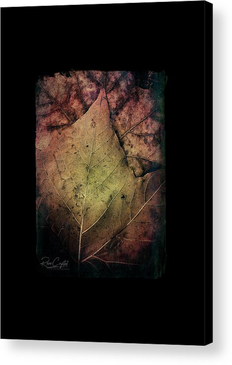 Leaves Acrylic Print featuring the photograph It's All In The Details, Baby by Rene Crystal