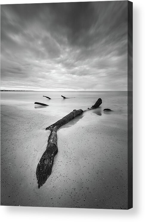 Driftwood Beach Acrylic Print featuring the photograph Jekyll Island Driftwood In Black And White by Jordan Hill
