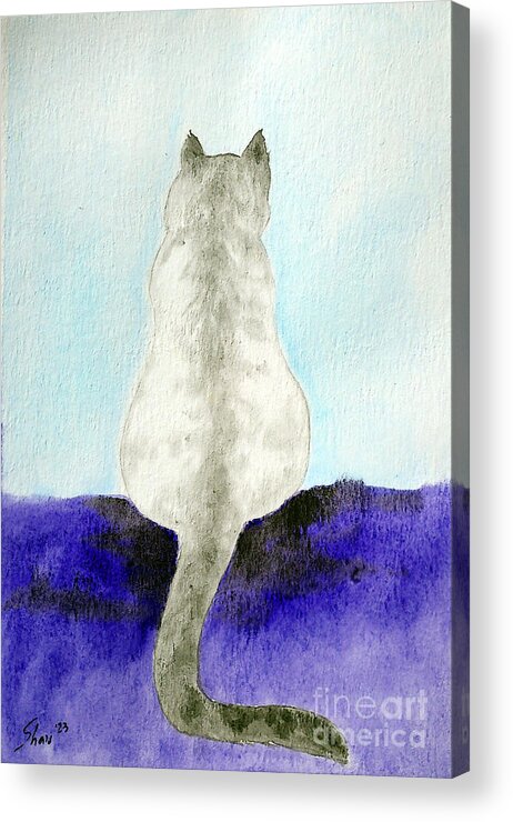 Cat Acrylic Print featuring the painting Lynx Point Cat by Rohvannyn Shaw