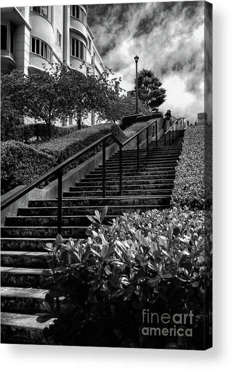 Sfo Acrylic Print featuring the photograph Lyon Street Steps by Doug Sturgess