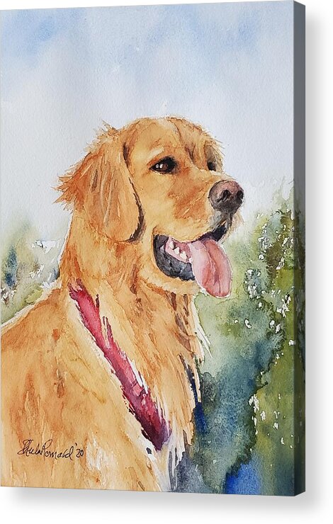 Golden Retriever Acrylic Print featuring the painting Majestic Retriever by Sheila Romard
