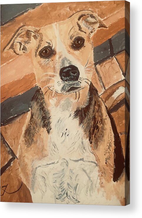 Dog Acrylic Print featuring the painting Beagle Rescued From Jamaica by Melody Fowler